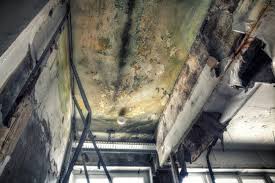 Forensic Mold Investigation in Hillsboro, OH